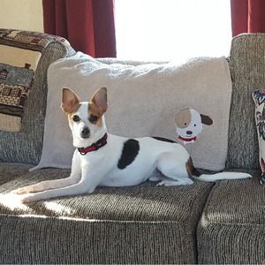 Meet your Posher, Laura